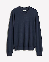 Long-Sleeve V-Neck Sweater