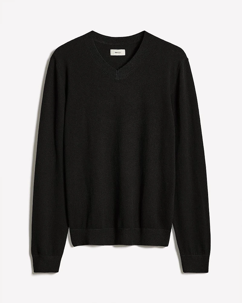 Long-Sleeve V-Neck Sweater