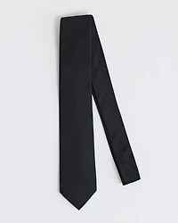 Regular Silk Solid Tie