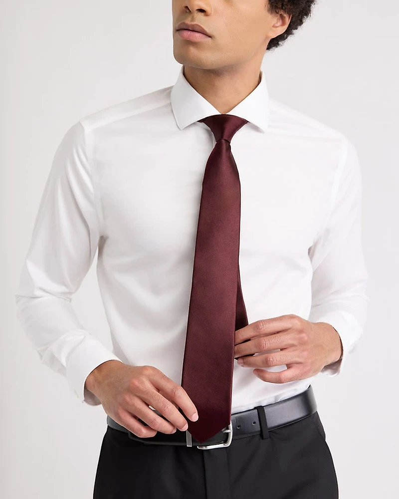 Cravate Régulière de Célébrations