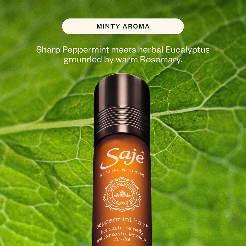 Best of Saje Wellness Kit Pearl Edition