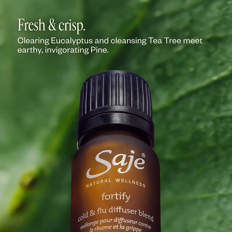 The Cocoon Collection | Sandstone