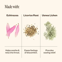 Echinacea