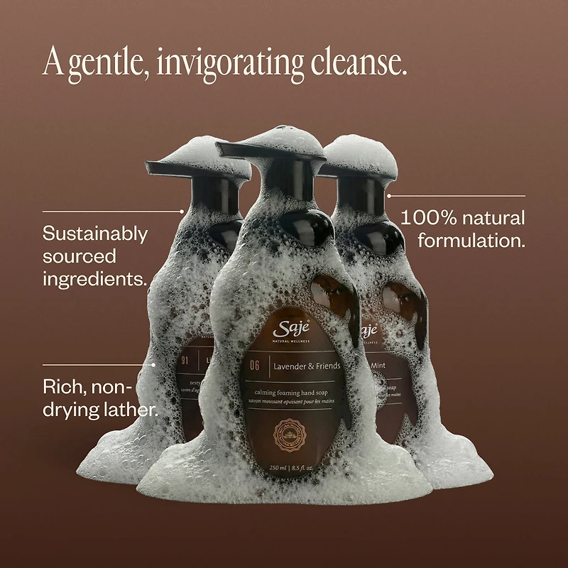 Foaming Hand Soap Trio