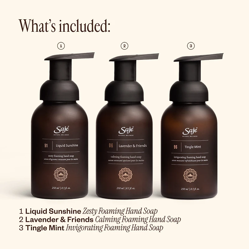 Foaming Hand Soap Trio