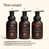 Foaming Hand Soap Trio