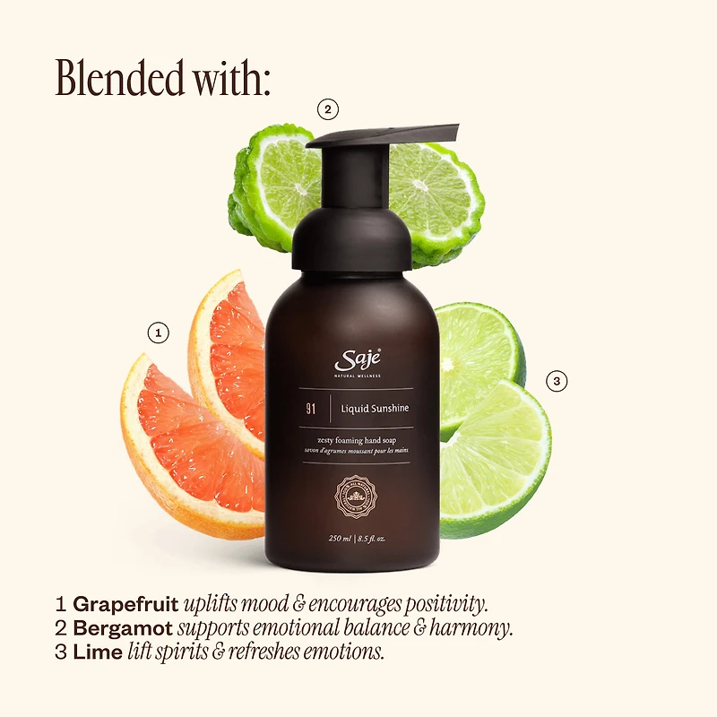 Foaming Hand Soap Trio