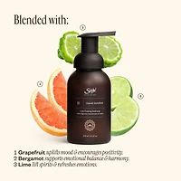 Foaming Hand Soap Trio