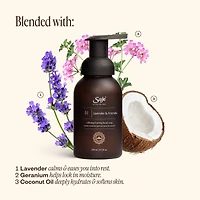 Foaming Hand Soap Trio