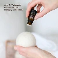 Home for the Holidays