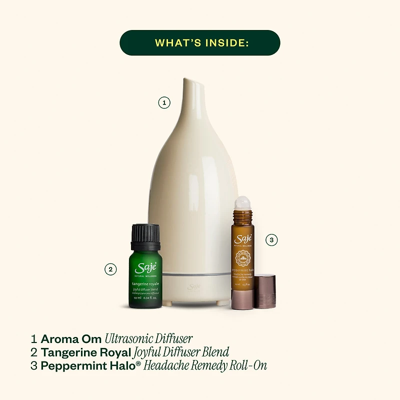 Home for the Holidays Wellness Kit