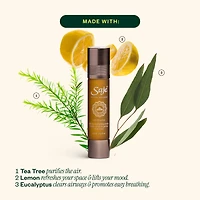 Rundown Resist Wellness Kit