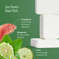Shower Steamer Collection