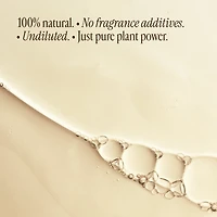 Spa Spirit