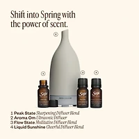 Spring Refresh Diffuser Bundle
