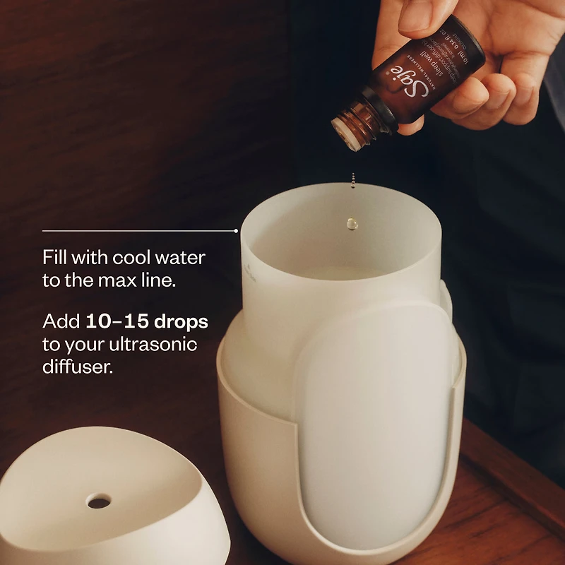 The Day to Night Trio