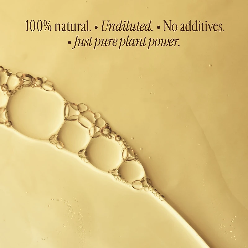 The Day to Night Trio