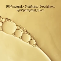 The Day to Night Trio