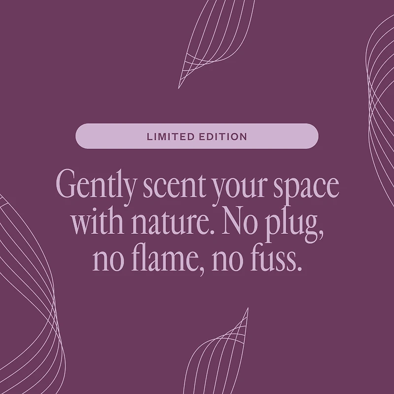 Secret Scenter: After the Rain