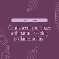 Secret Scenter: After the Rain