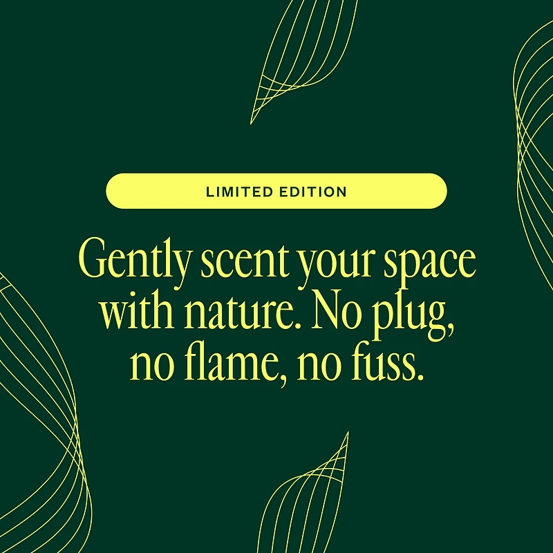 Secret Scenter: Snowed In