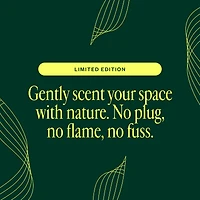 Secret Scenter: Snowed In