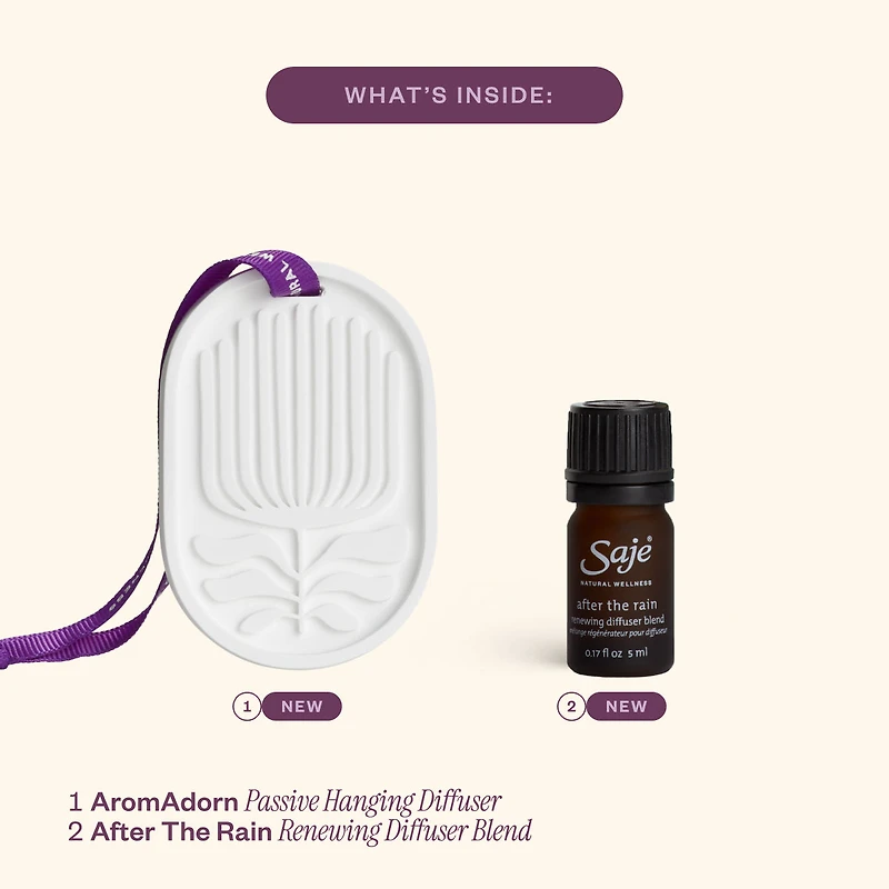 Secret Scenter: After the Rain