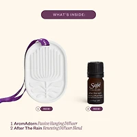 Secret Scenter: After the Rain