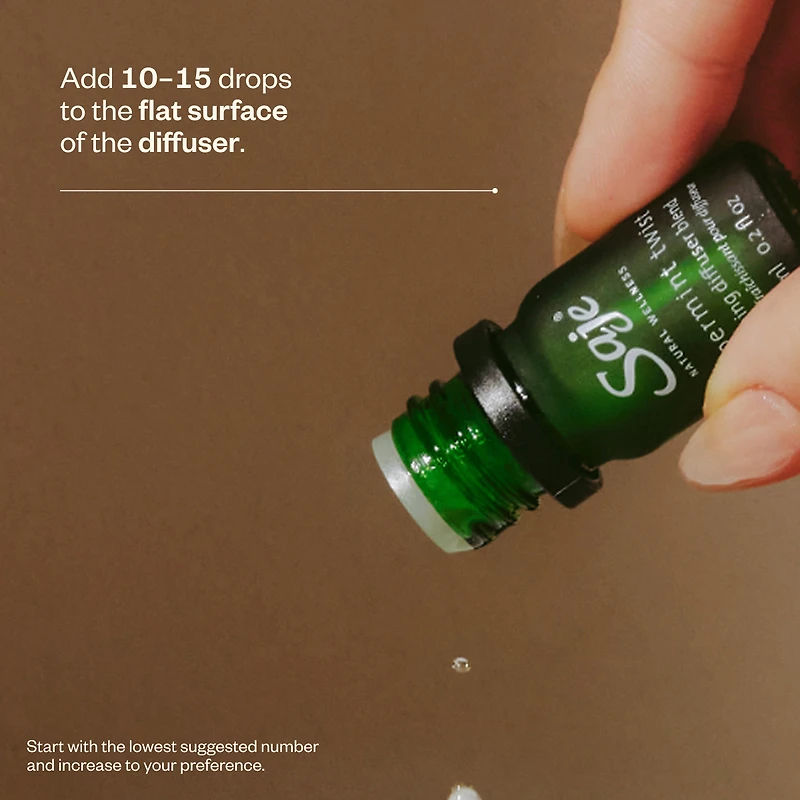 Secret Scenter: Snowed In