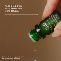 Secret Scenter: After the Rain