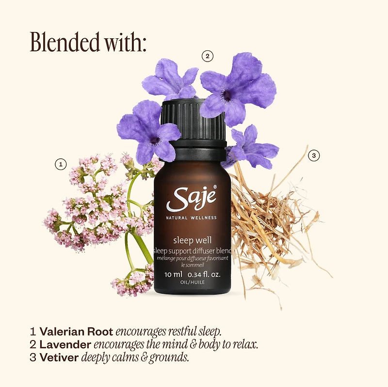 The Sweet Dreams Trio