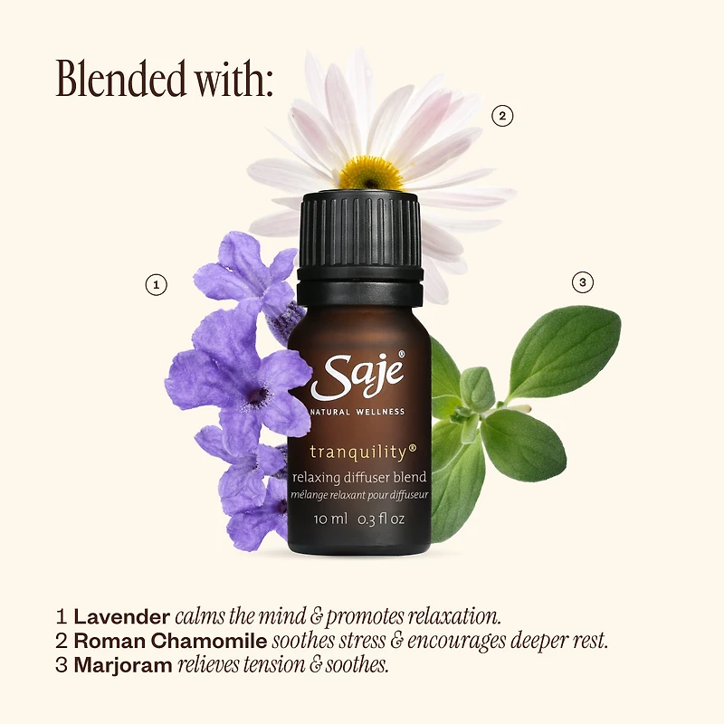 The Sweet Dreams Trio