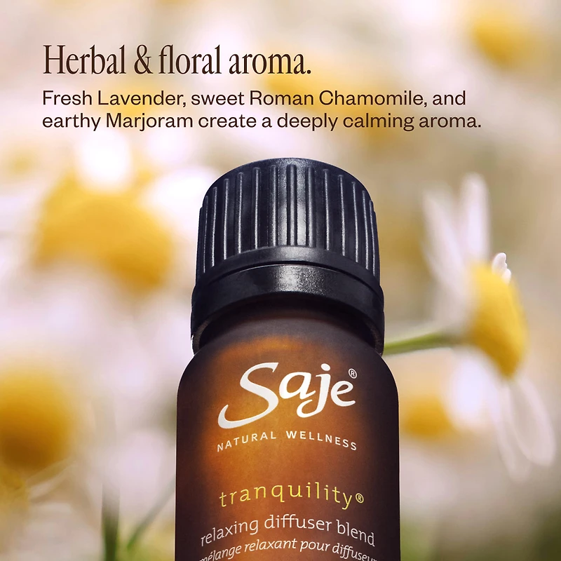 The Sweet Dreams Trio