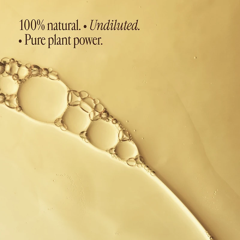 The Sweet Dreams Trio