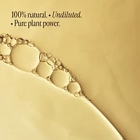 The Sweet Dreams Trio