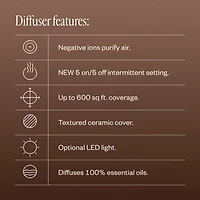 The Cocoon Collection | Sandstone