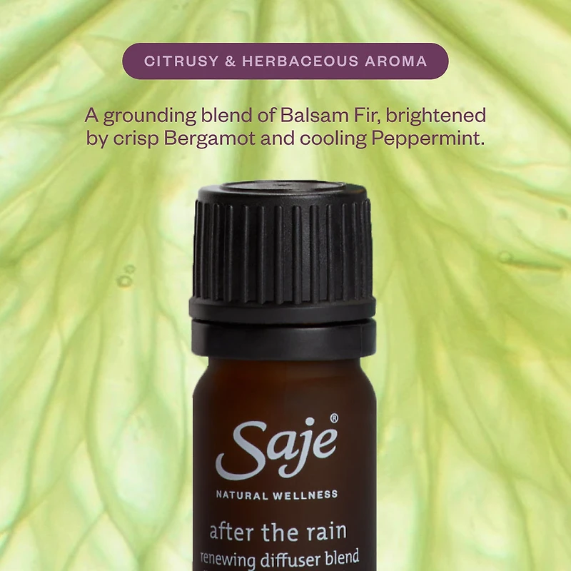 Secret Scenter: After the Rain