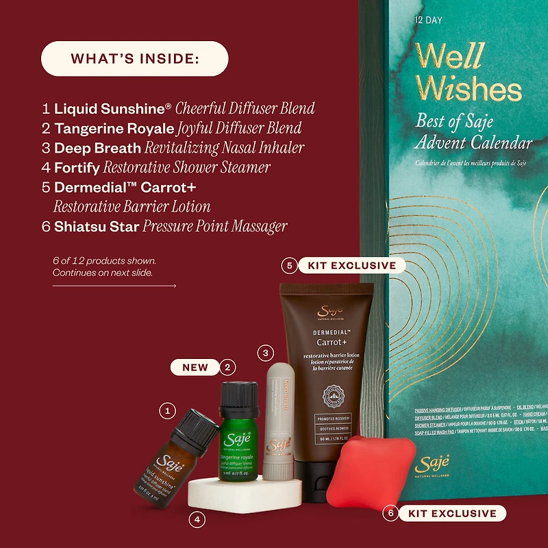Well Wishes Advent Calendar