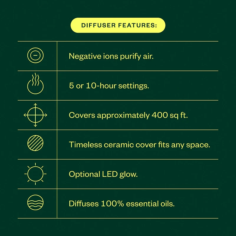 Merry Mint Wellness Kit