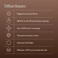 Aroma Cocoon & Liquid Sunshine