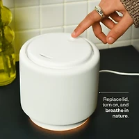 Aroma Halo & Sleep Well