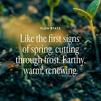 Shift Into Spring Duo