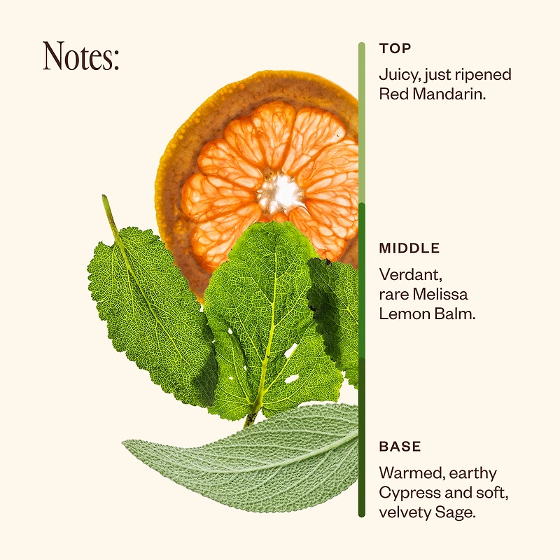 Shift Into Spring Duo