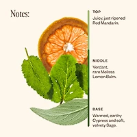 Shift Into Spring Duo