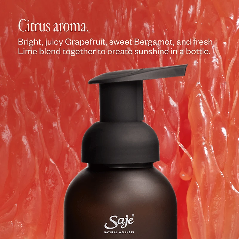 Foaming Hand Soap Trio