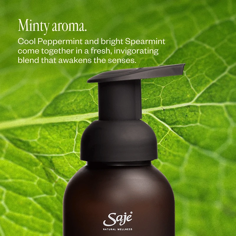 Foaming Hand Soap Trio