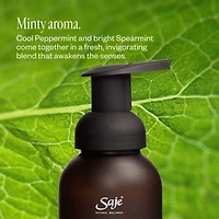 Foaming Hand Soap Trio