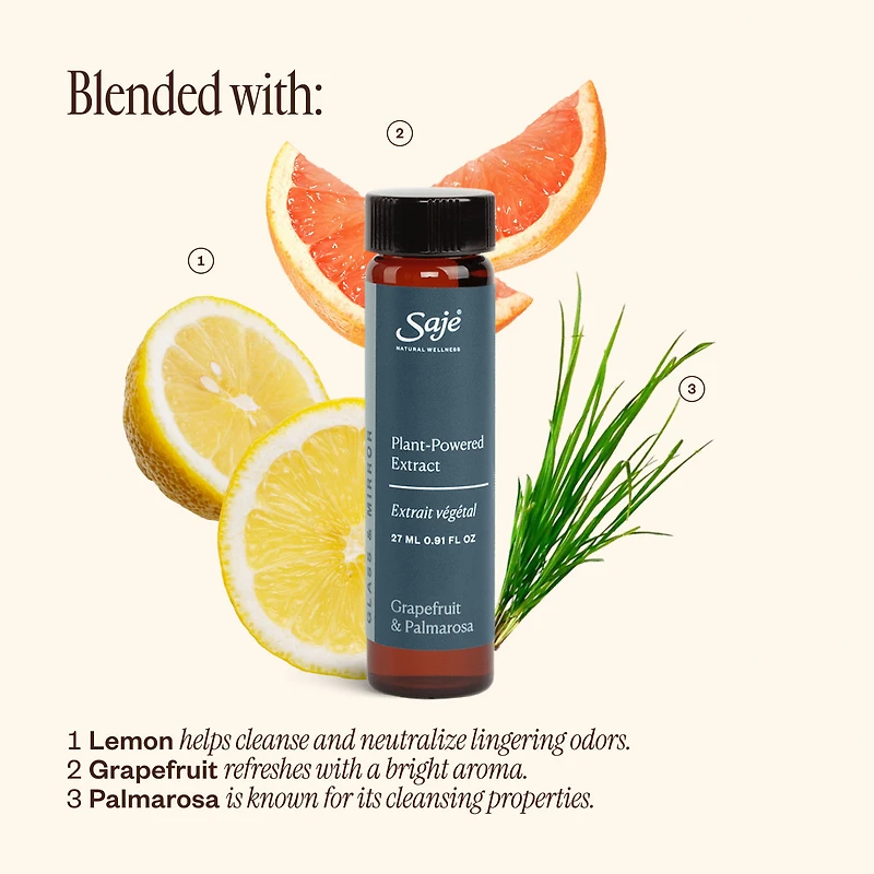 Home Cleaning Starter Kit