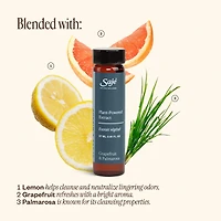 Home Cleaning Starter Kit