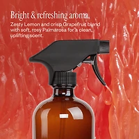 Home Cleaning Starter Kit